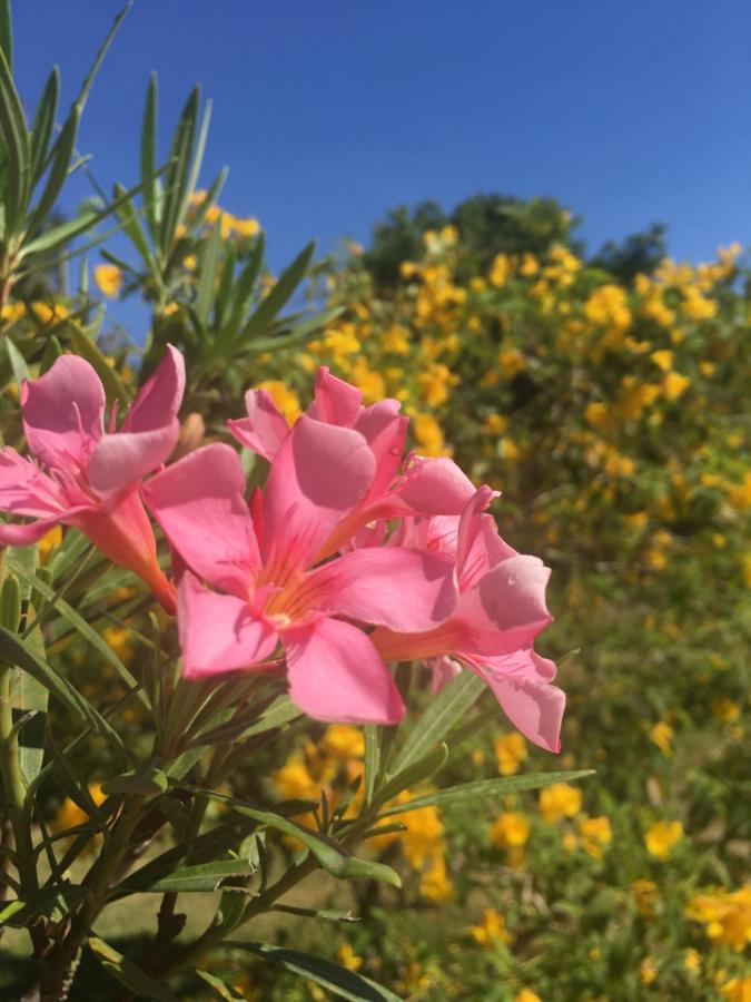 Samui Garden Resort بانغ راك المظهر الخارجي الصورة
