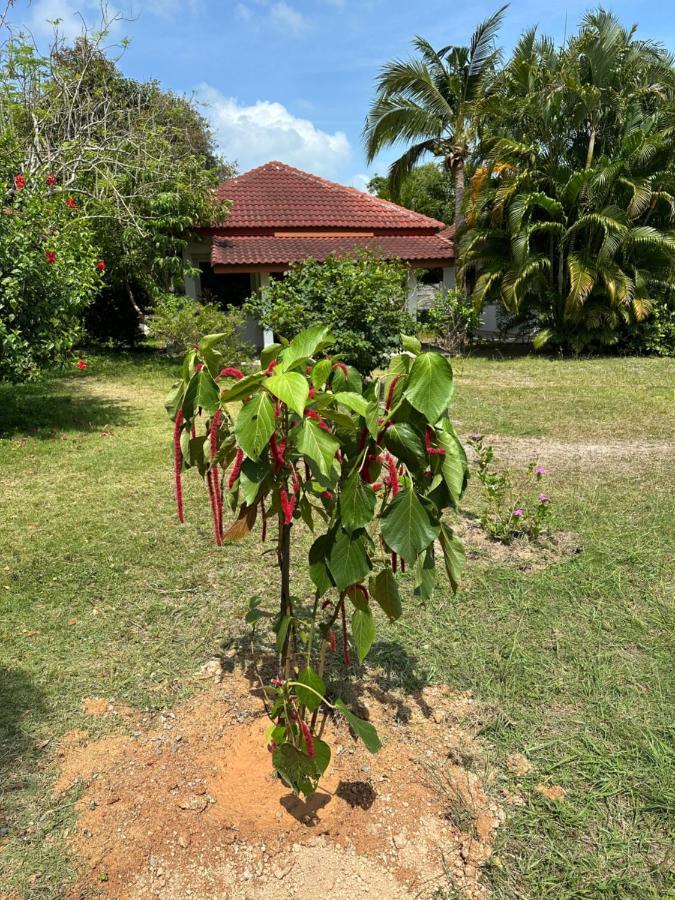 Samui Garden Resort بانغ راك المظهر الخارجي الصورة