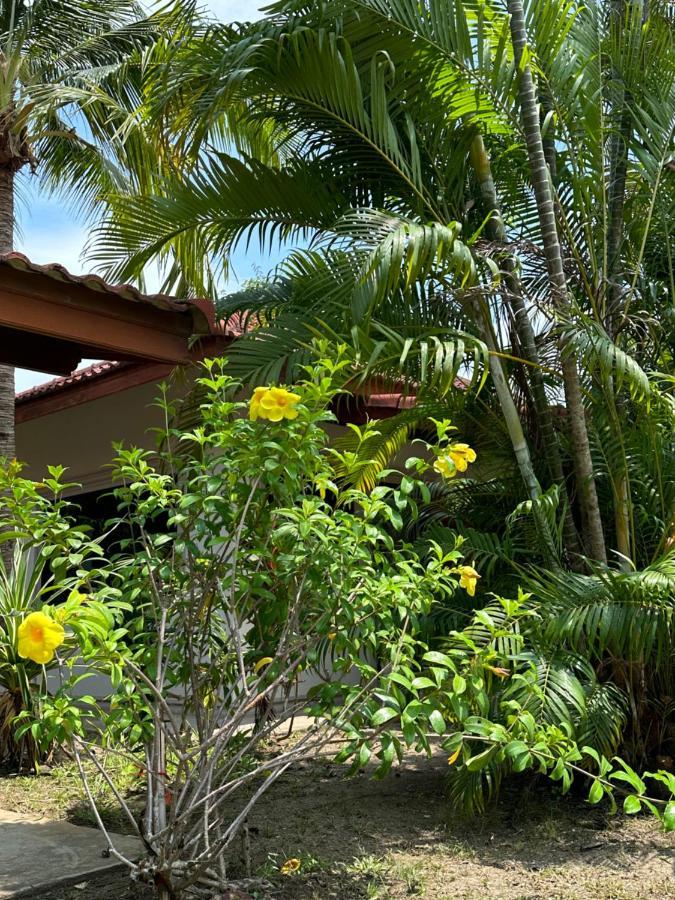 Samui Garden Resort بانغ راك المظهر الخارجي الصورة