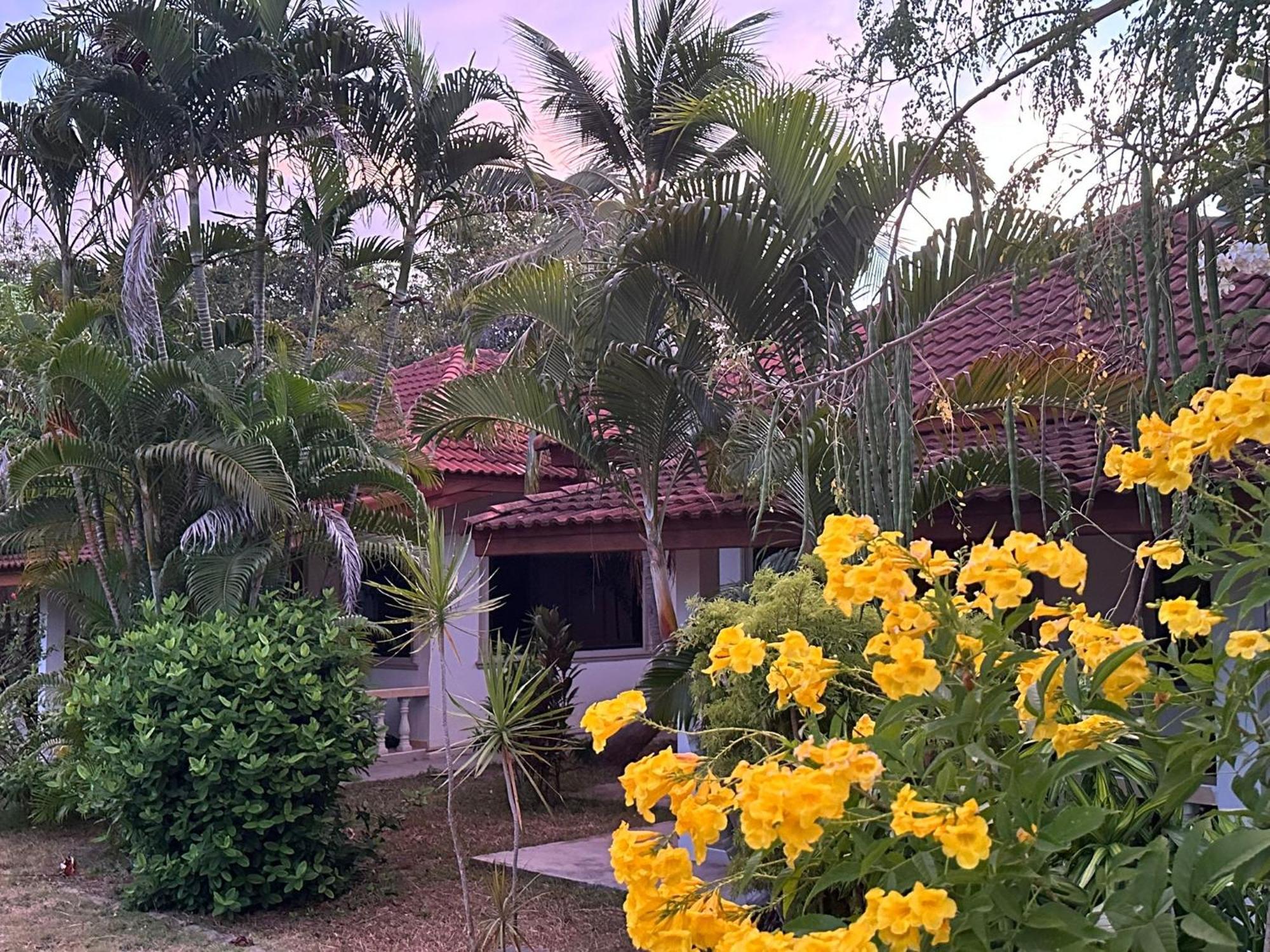 Samui Garden Resort بانغ راك المظهر الخارجي الصورة