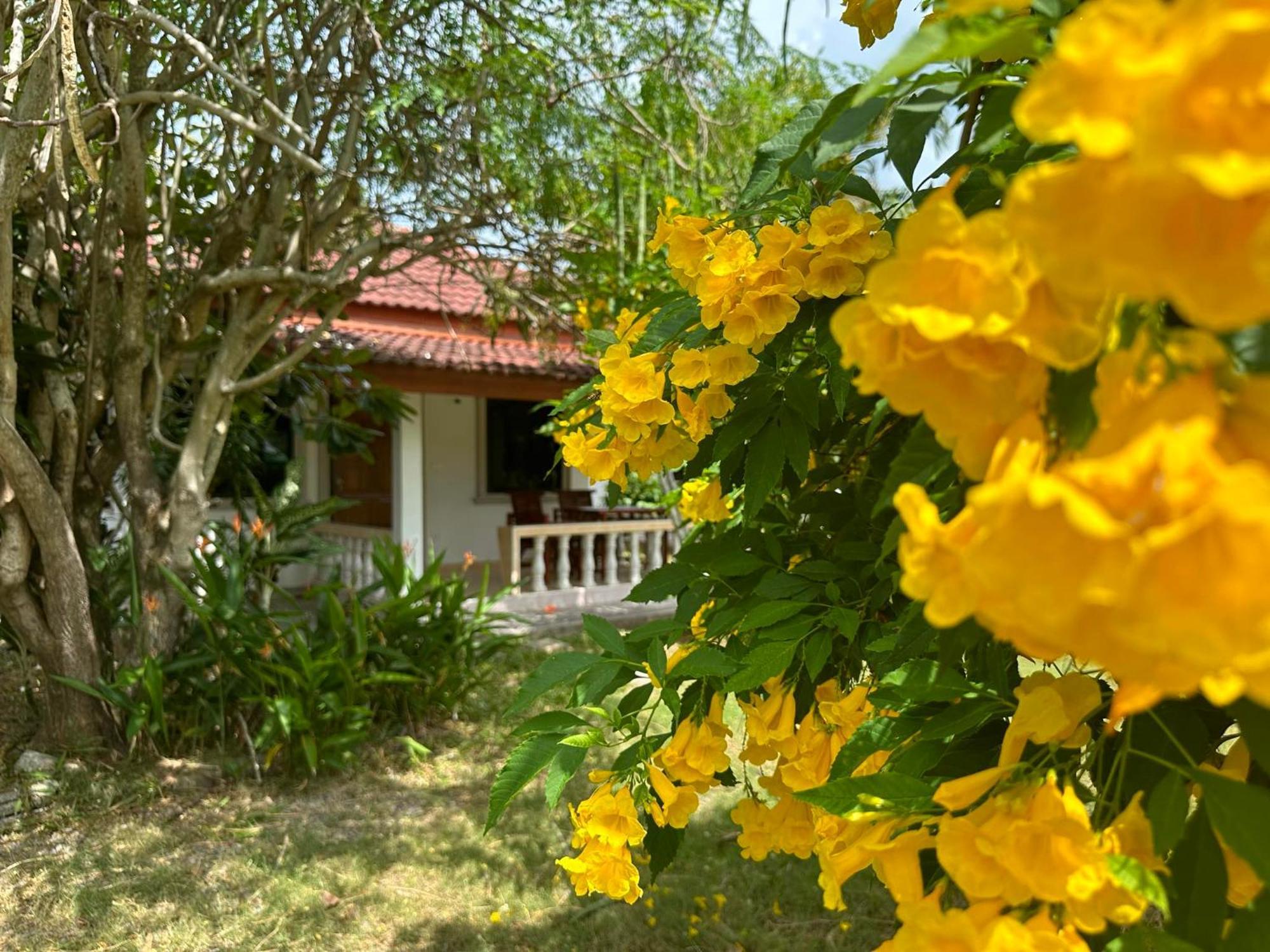 Samui Garden Resort بانغ راك المظهر الخارجي الصورة