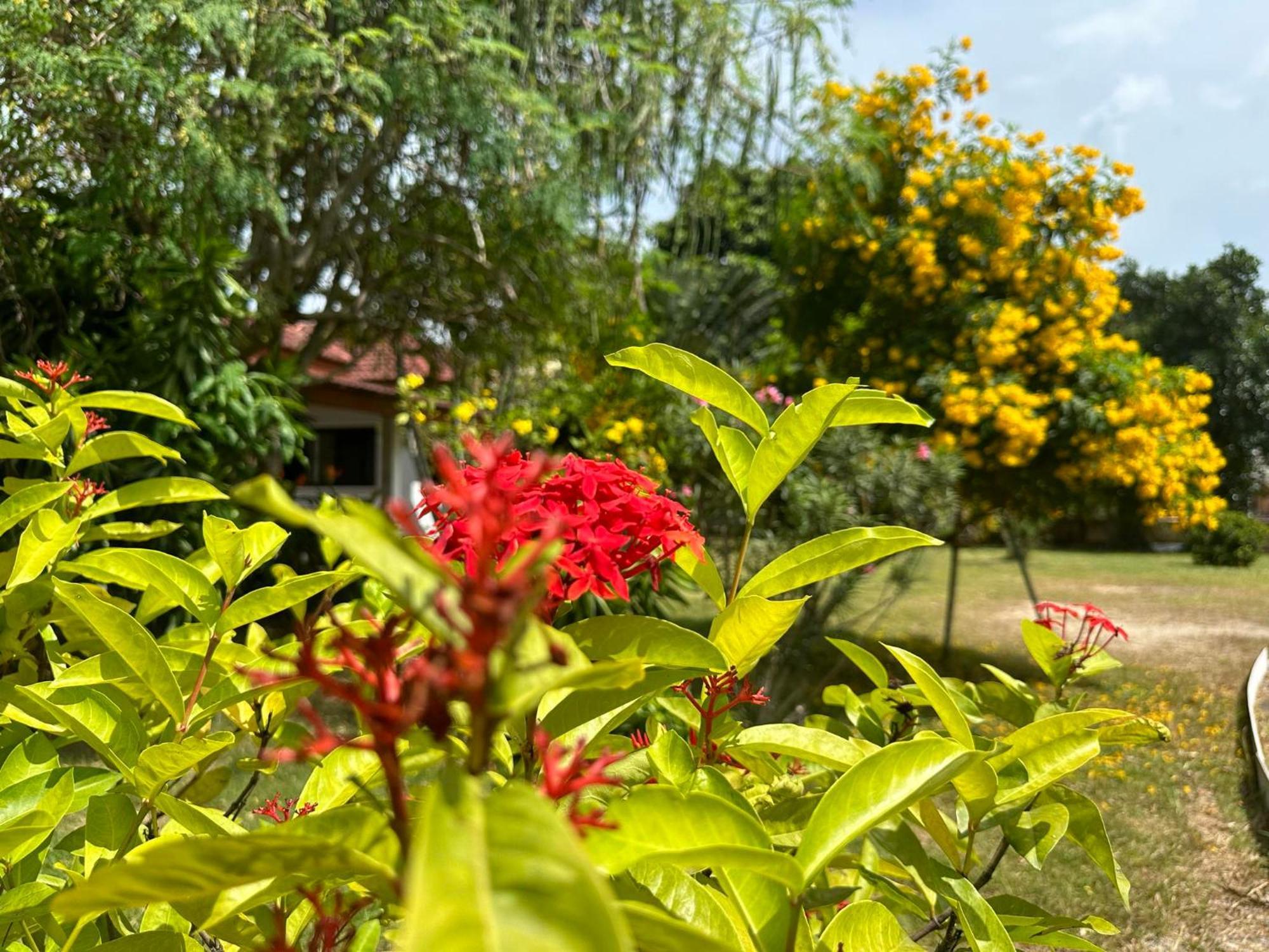 Samui Garden Resort بانغ راك المظهر الخارجي الصورة