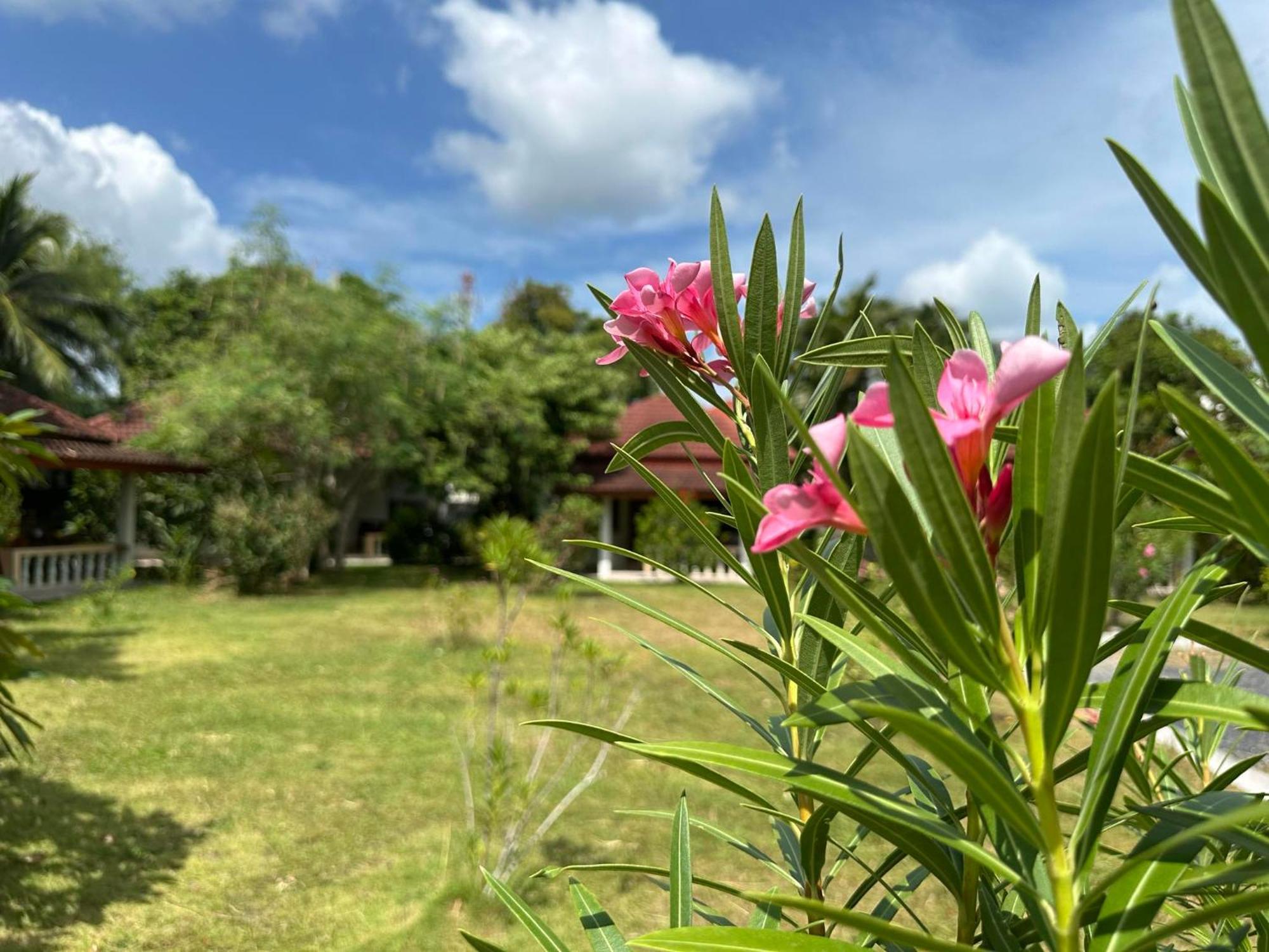 Samui Garden Resort بانغ راك المظهر الخارجي الصورة