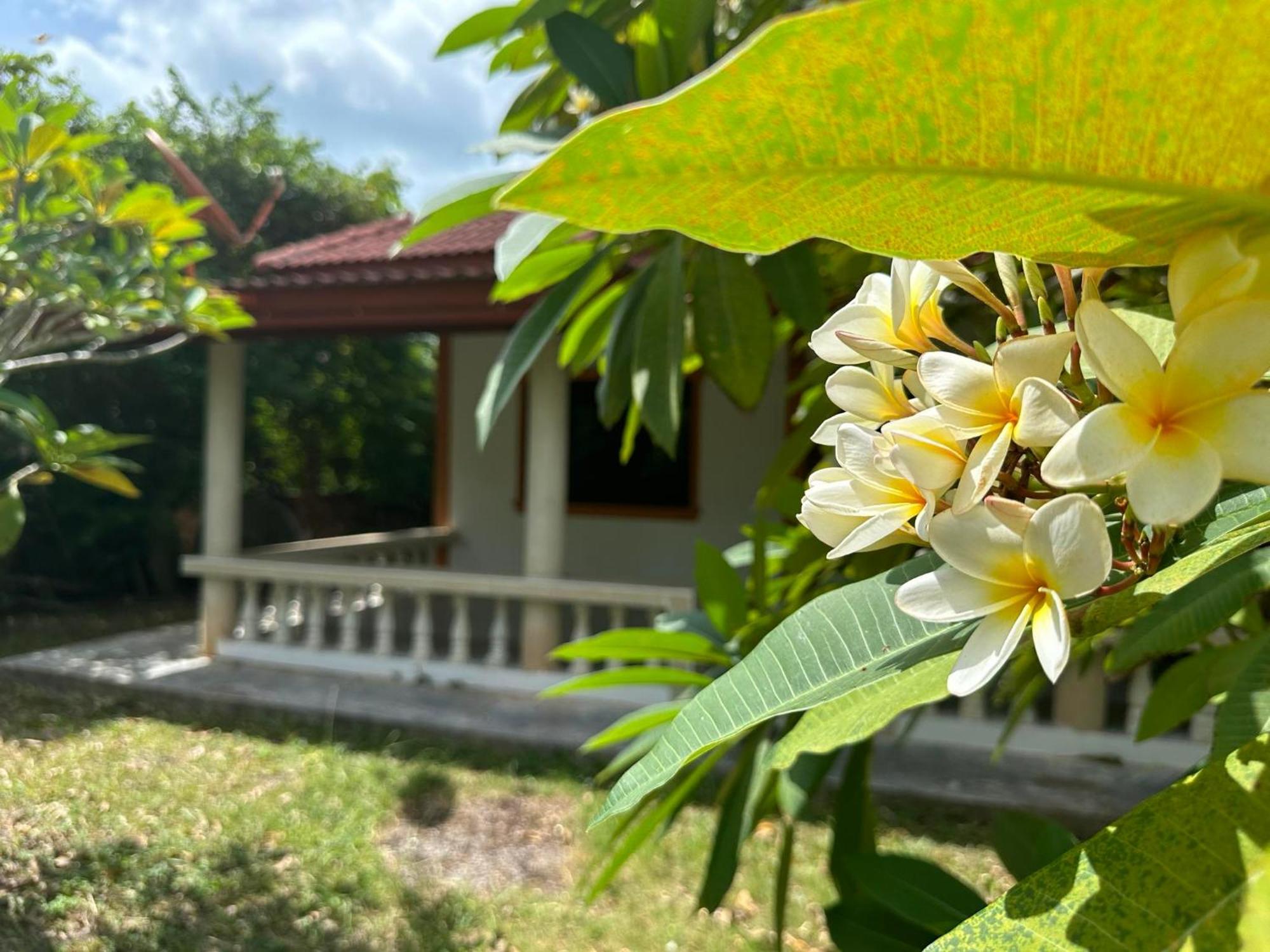Samui Garden Resort بانغ راك المظهر الخارجي الصورة