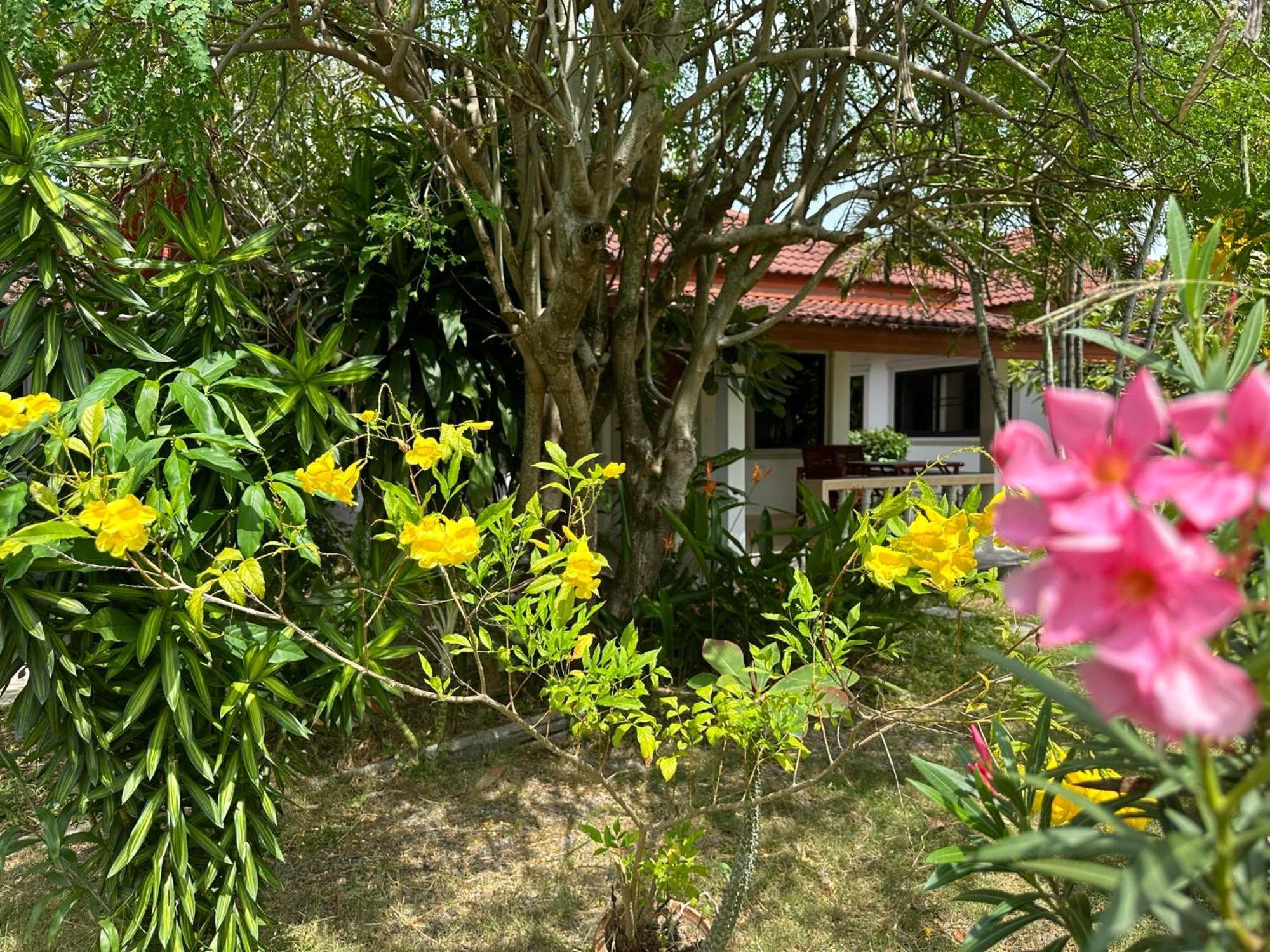Samui Garden Resort بانغ راك المظهر الخارجي الصورة